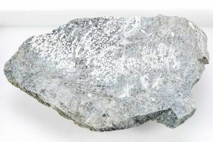 White Globular Dypingite Aggregates on Serpentine - California #305669